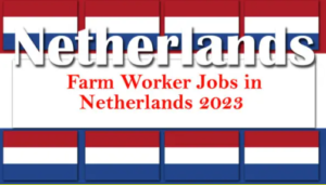 Farm Jobs in the Netherlands 2023