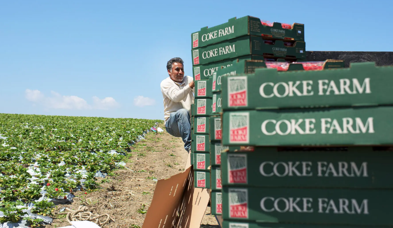 Urgent Hiring for Farmer Jobs in Canada