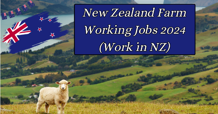 new zealand farm working jobs 2024 (work in nz)
