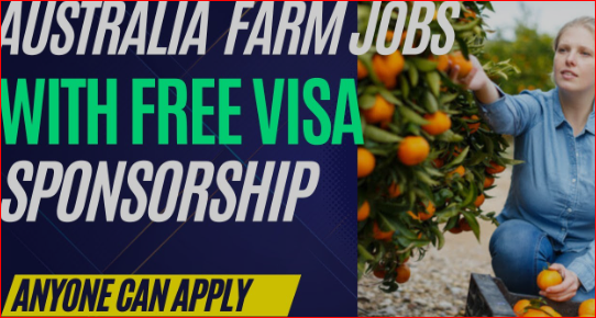 Fruit Picking Agricultural Jobs in Australia 2024 with Visa Sponsorship