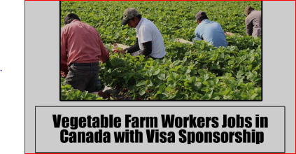 Vegetable Farm Workers Jobs in Canada with Visa Sponsorship