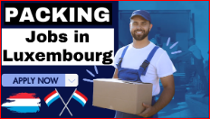 Packaging Jobs in Luxembourg 2024-25