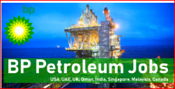 BP Petroleum Job Openings 2024