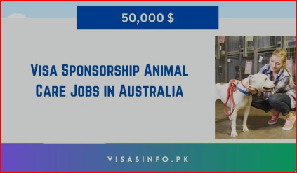 Animal Care Jobs in Australia 2024 – Visa Sponsorship