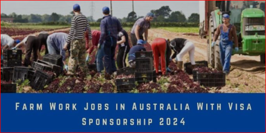 Latest Farm Working Jobs in Australia