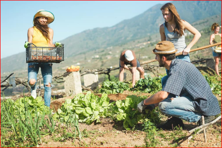 Farm Worker Job in Australia